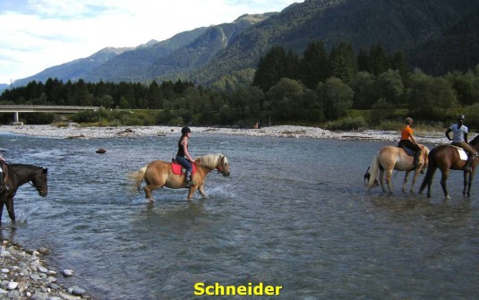 Holiday Villa Carinthia 16 Horseback riding, Schneider, Dellach