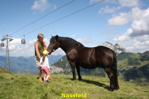 Holiday Villa Carinthia 17 Horseback riding, Nassfeld